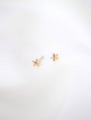 14k gold filled micro star stud earrings