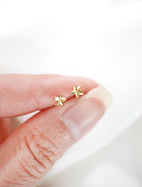 gold filled micro star stud earrings in hand