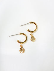 gold vermeil seashell charm hoop studs