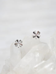 lucky earrings