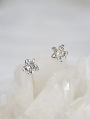 night hibiscus earrings