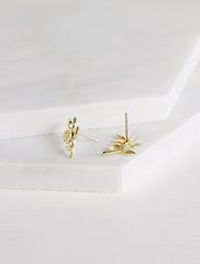 olive branch earrings