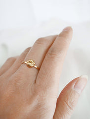 coastline ring