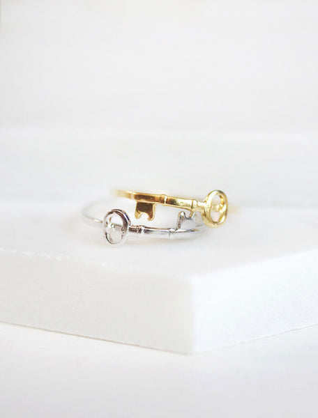 skeleton key rings . set of two